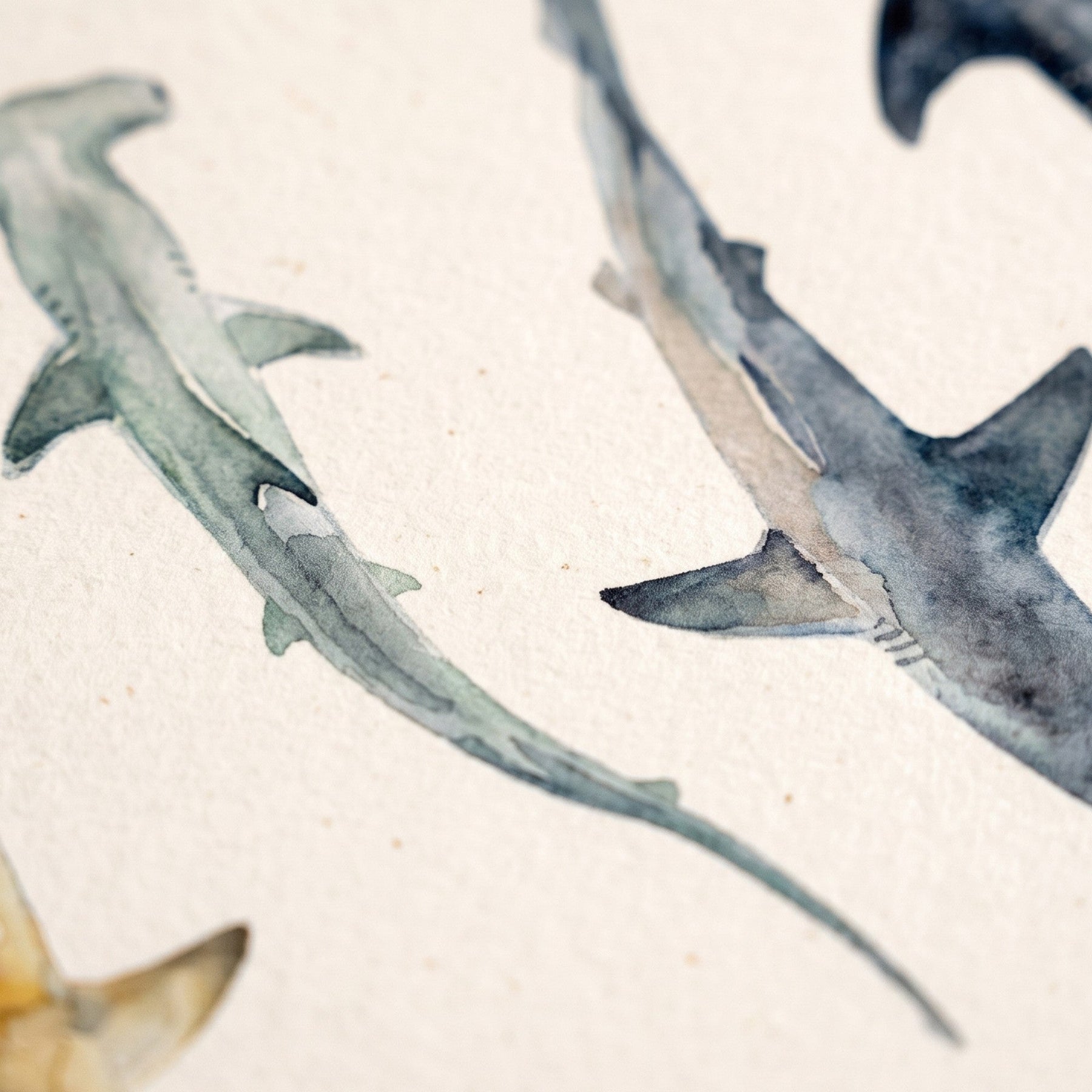 Biologisch abbaubare Handyhülle iPhone 16 pro Sharkproject — kompostierbar — Detailaufnahme Druck