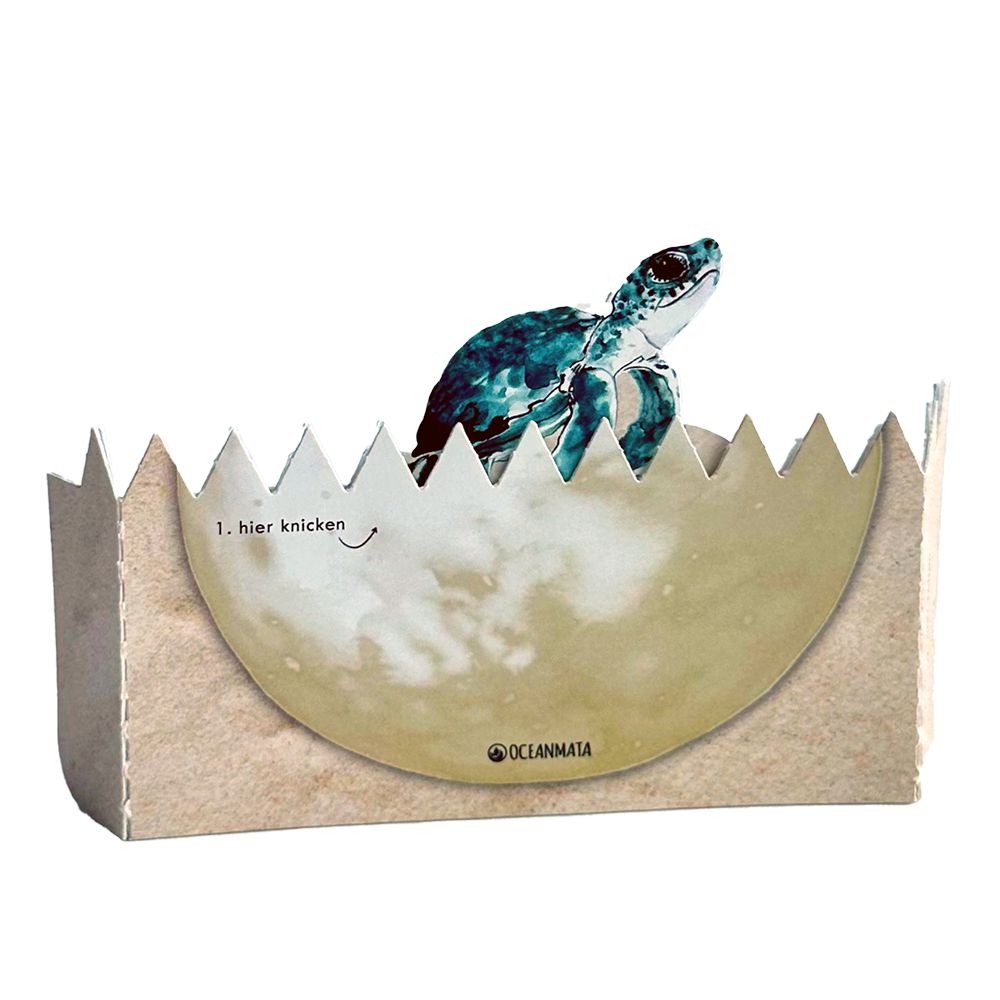 Turtle "Knackei" Patenschaften