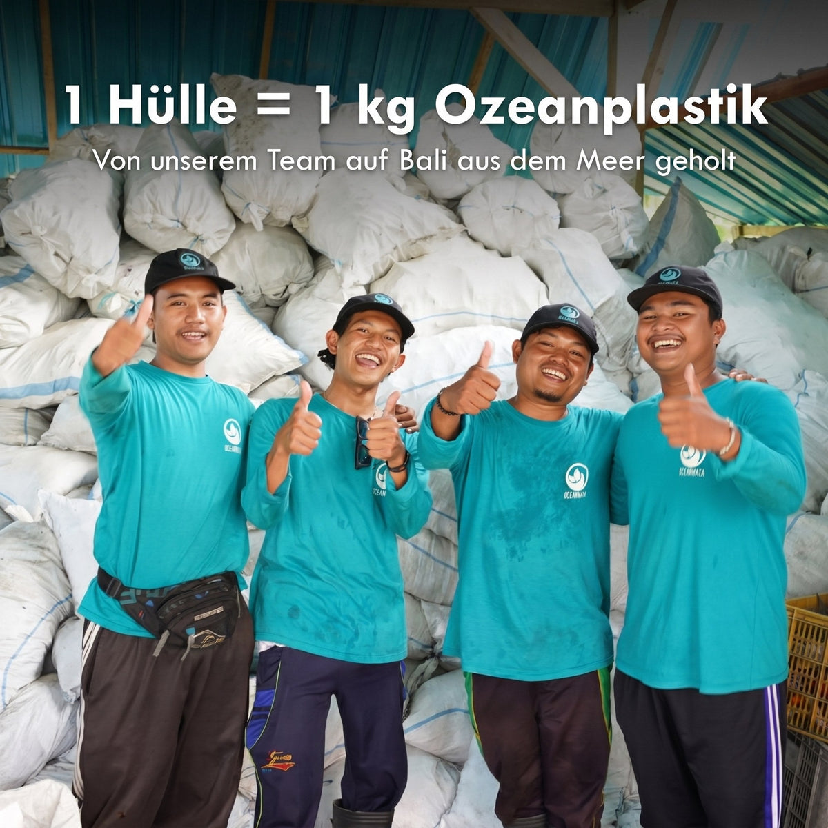 iPhone 17 pro max Hülle - Robbe blau - "Robby" - nachhaltig