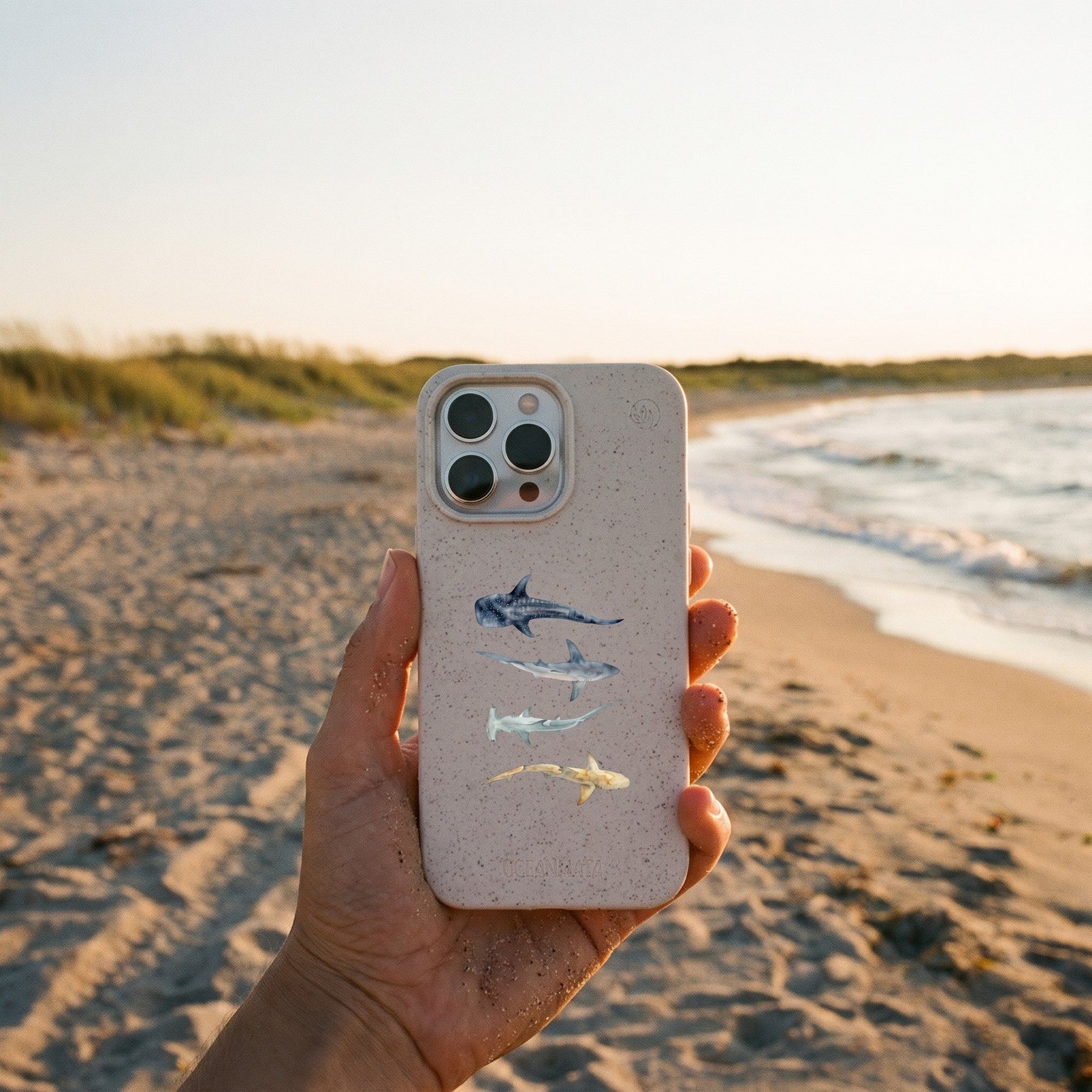 Biologisch abbaubare Handyhülle iPhone 13 pro max Sharkproject — kompostierbar — in der Hand